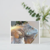 Hallo Big Boy Postkarte (Stehend Vorderseite)