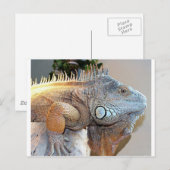 Hallo Big Boy Postkarte (Vorne/Hinten)