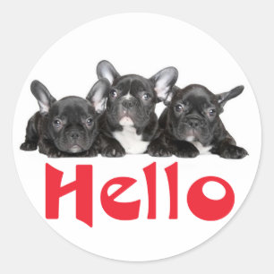 Hallo Black French Bulldog Puppy Docker Siegel Runder Aufkleber