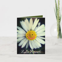 Hallo Blumen Grußkarte zum individuellen Gestalten