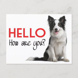 Hallo Border Collie Welpe Doppy Post Card Postkarte