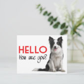 Hallo Border Collie Welpe Doppy Post Card Postkarte (Stehend Vorderseite)