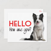 Hallo Border Collie Welpe Doppy Post Card Postkarte (Vorne/Hinten)