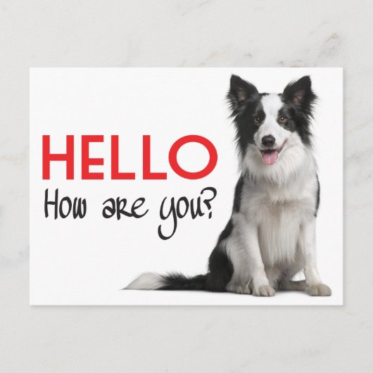 Hallo Border Collie Welpe Doppy Post Card Postkarte (Vorderseite)