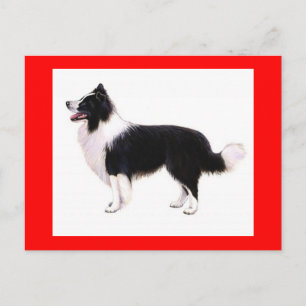 Hallo Border Collie Welpen Hund Grüßkarte Postkarte