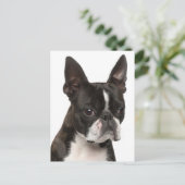 Hallo Boston Terrier Puppy Dog Denken Sie an Sie Postkarte (Stehend Vorderseite)