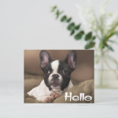 Hallo Boston Terrier Welpe Dog Denken Sie an Sie Postkarte (Stehend Vorderseite)