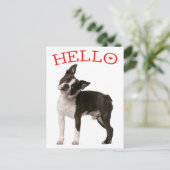 Hallo Boston Terrier Welppy Dog Red Denken Sie an Postkarte (Stehend Vorderseite)