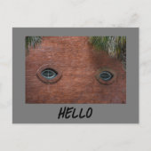 Hallo Brick Wall Window Eyes Spaß Fotografisch Postkarte (Vorderseite)