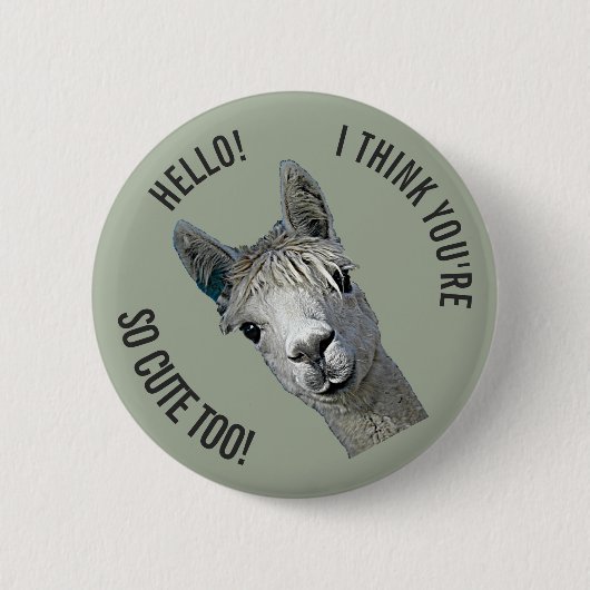 Hallo Button (Vorderseite)