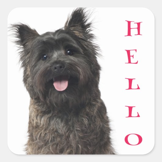 Hallo Cairn Terrier Puppy Dog Stickers (Vorderseite)