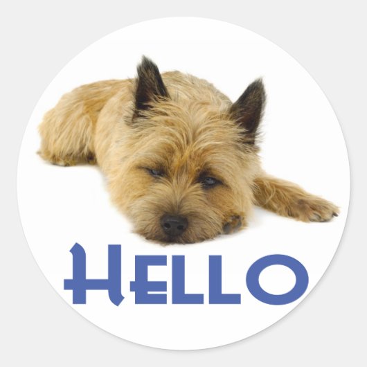 Hallo Cairn Terrier Welpe Hund Gruß Stickers (Vorderseite)