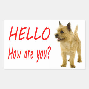 Hallo Cairn Terrier Welpenhund Grüßaufkleber Rechteckiger Aufkleber