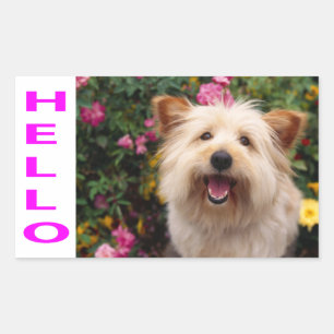 Hallo Cairn Terrier Welpenhund Grüßaufkleber Rechteckiger Aufkleber