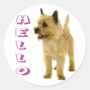 Hallo Cairn Terrier Welpenhund Grüßaufkleber Runder Aufkleber