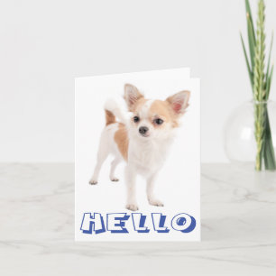 Hallo Chihuahua-Welpen-Hund Blanko-Grußkarte Karte