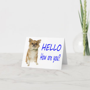 Hallo Chihuahua Welpen Hund Leere Karte