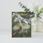 Hallo ! Cockatoo Parrot Bird Open Wings personalis Postkarte (Stehend Vorderseite)