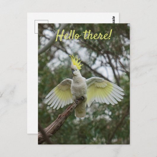 Hallo ! Cockatoo Parrot Bird Open Wings personalis Postkarte (Vorne/Hinten)