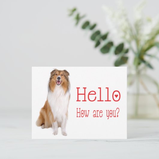 Hallo Collie Puppy Dog Denken Sie an Sie Postkarte (Stehend Vorderseite)