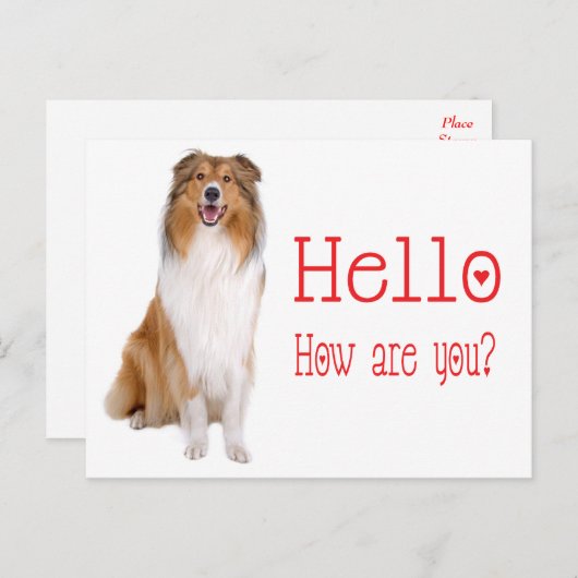 Hallo Collie Puppy Dog Denken Sie an Sie Postkarte (Vorne/Hinten)