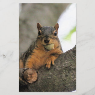 Hallo da briefpapier