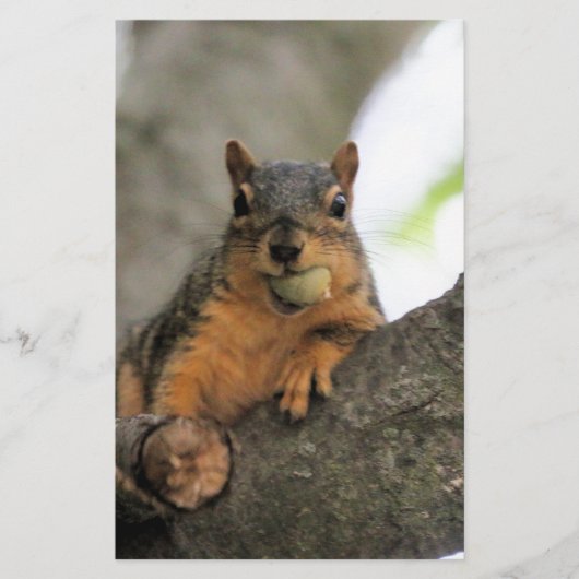 Hallo da briefpapier (Vorderseite)