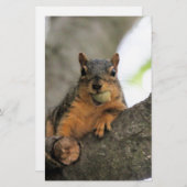 Hallo da briefpapier (Vorne/Hinten)