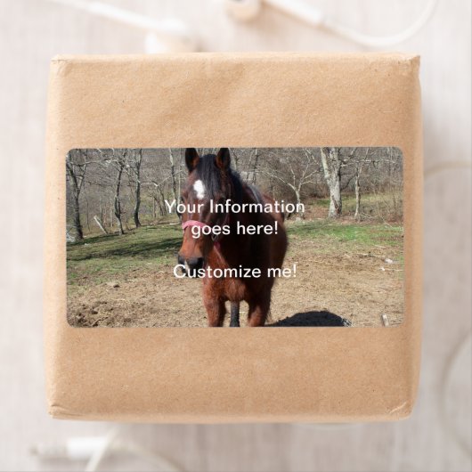 Hallo Da Horsey (Insitu)