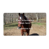 Hallo Da Horsey (Vorne)