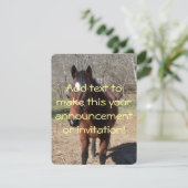 Hallo Da Horsey Einladung (Stehend Vorderseite)