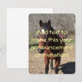 Hallo Da Horsey Einladung (Vorne/Hinten)