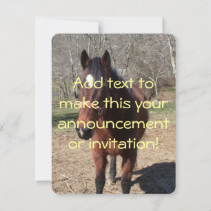 Hallo Da Horsey Einladung