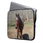 Hallo Da Horsey Laptopschutzhülle (Vorderseite Links)