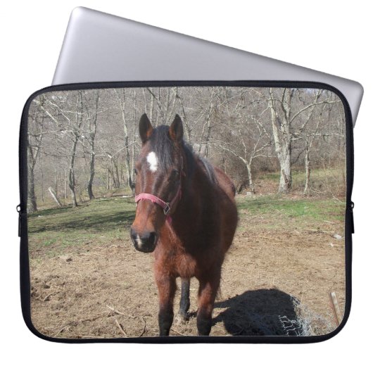 Hallo Da Horsey Laptopschutzhülle (Vorderseite)