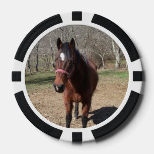 Hallo Da Horsey Pokerchips
