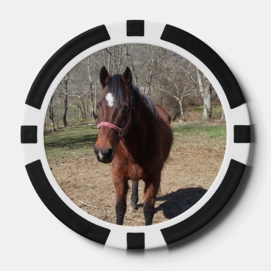Hallo Da Horsey Pokerchips (Vorderseite)