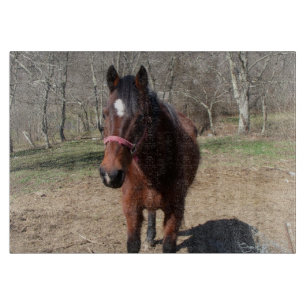 Hallo Da Horsey Schneidebrett
