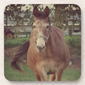 Hallo da, ich sehe dich untersetzer (Vorderseite)