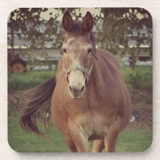 Hallo da, ich sehe dich untersetzer (Vorderseite)