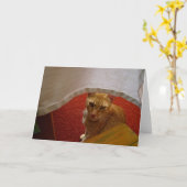 Hallo da karte (Gelbe Blume)