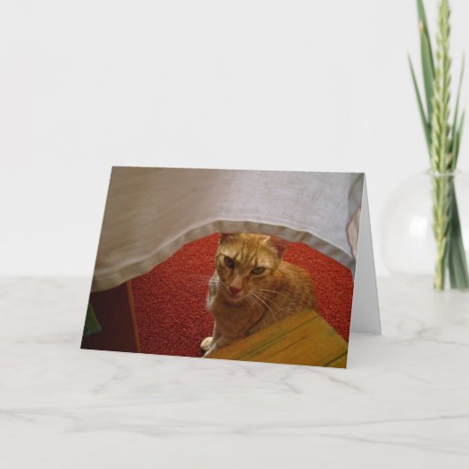 Hallo da karte (Vorderseite)