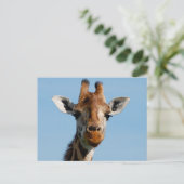 Hallo da postkarte (Stehend Vorderseite)