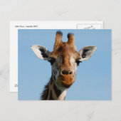 Hallo da postkarte (Vorne/Hinten)