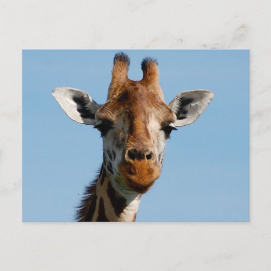 Hallo da postkarte (Vorderseite)