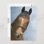 Hallo da postkarte (Vorne/Hinten)