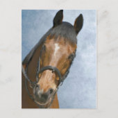 Hallo da postkarte (Vorderseite)