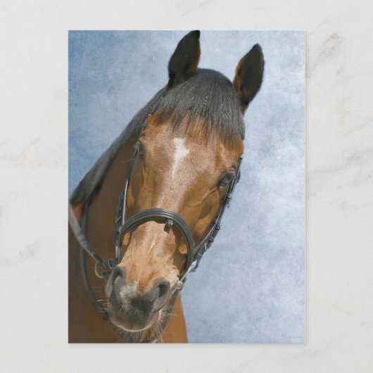 Hallo da postkarte (Vorderseite)