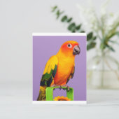 Hallo da postkarte (Stehend Vorderseite)