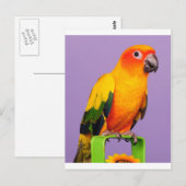 Hallo da postkarte (Vorne/Hinten)